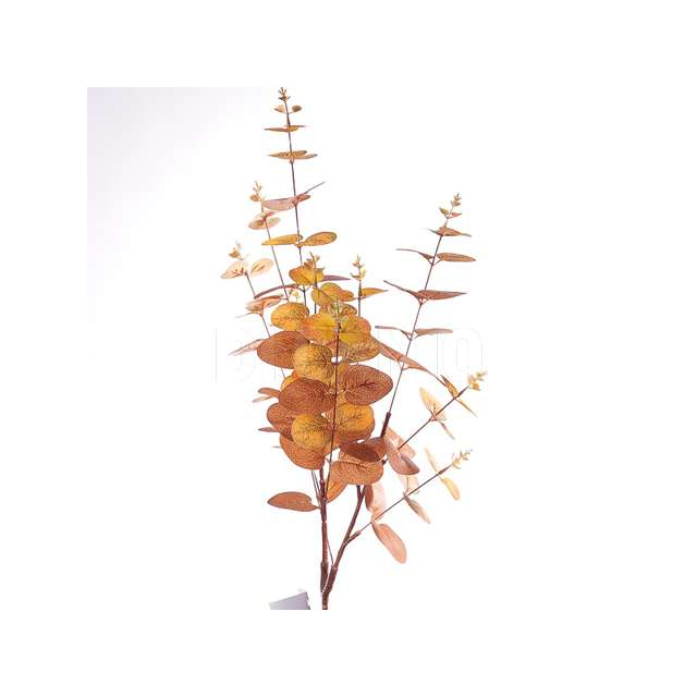 Mazzo eucalipto cm.27x84 autumn. - Principale