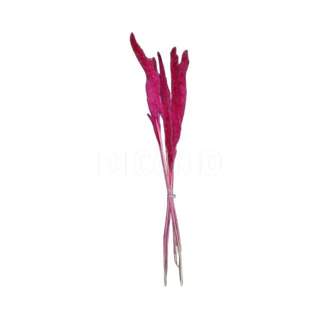 Ramo canna cm.17x83 8 pezzi beauty - Principale