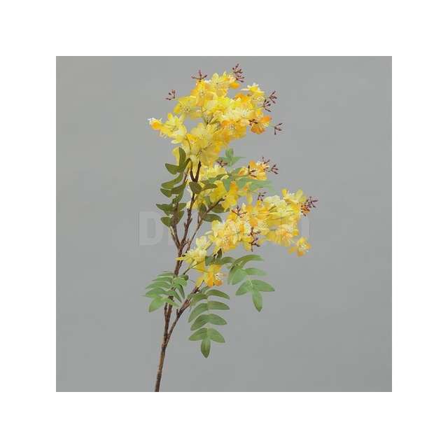 Ramo robinia cm.87 yellow - Principale