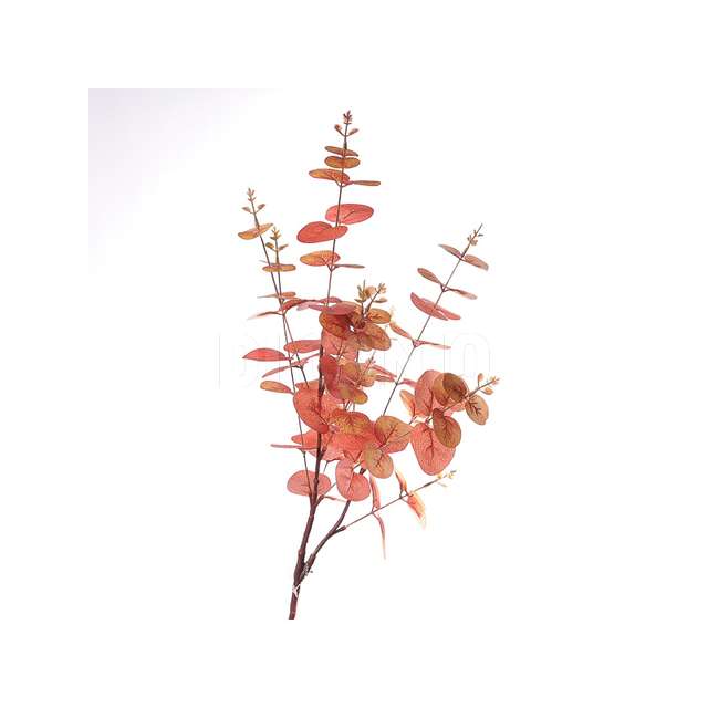 Mazzo eucalipto cm.27x84 orange - Principale