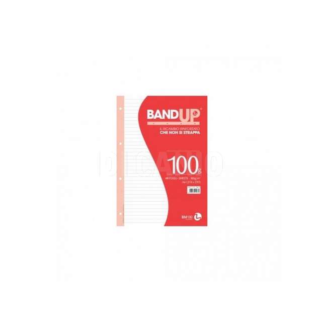 Ricambi maxi band-up fg.40 gr.100 r bm. - Principale