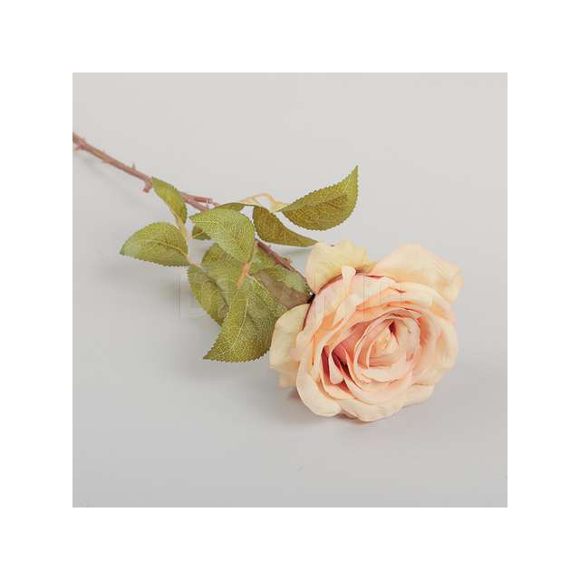 Ramo rosa cm.80 old peach - Principale
