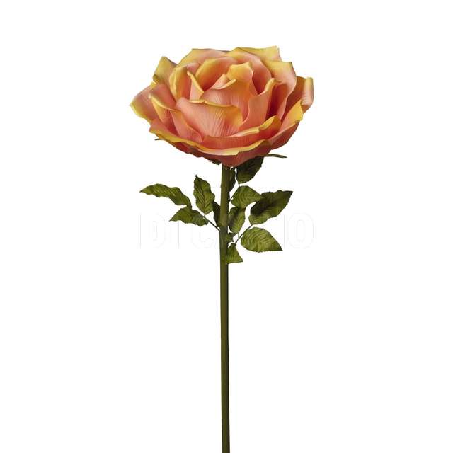Ramo rosa cm.136 peach - Principale