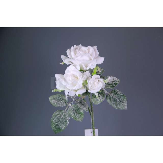 Pick rose col. wht arp. n14082 - Principale