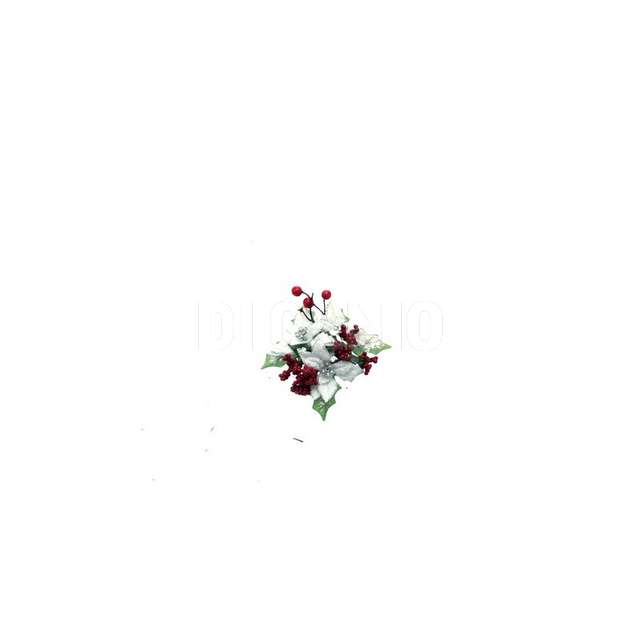 Girocandela stella bianca con bacche rosse parten.5673816 - Principale