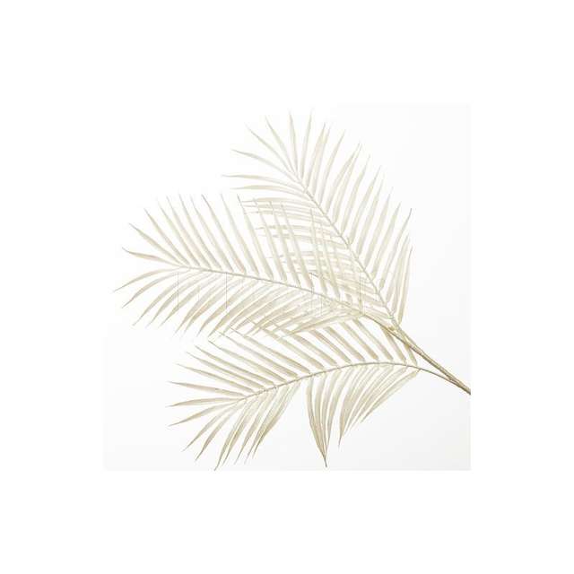 Ramo palma x 3 cm 86 bianco - Principale
