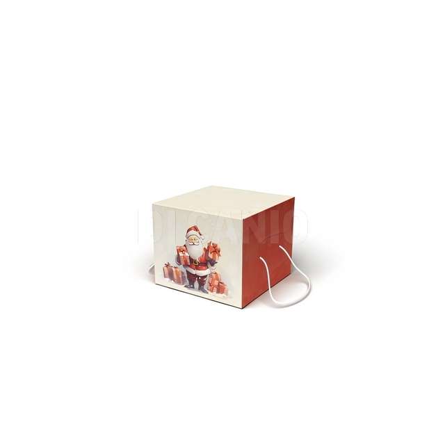 Scatola cartone panettone cm.21x21x18 - Principale