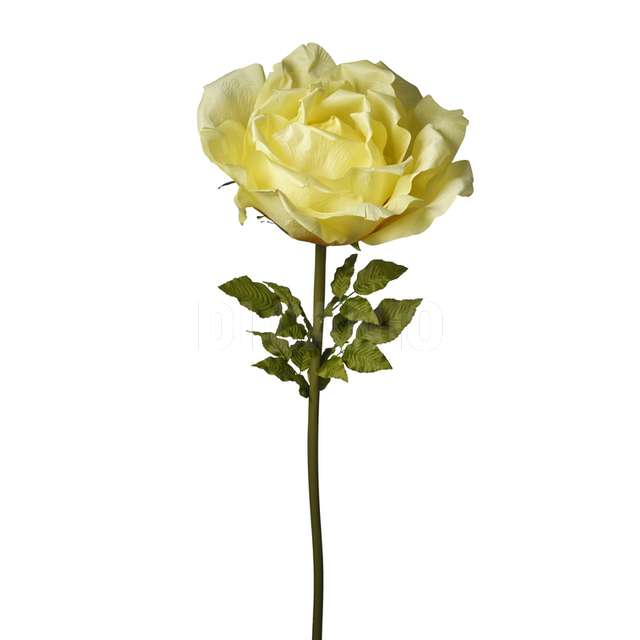 Ramo rosa cm.170 yellow - Principale