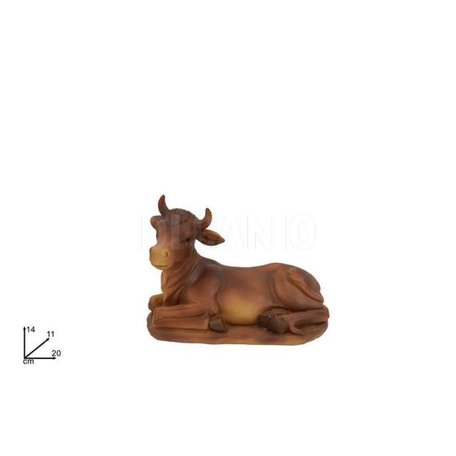 Bue 20 cm. - Principale