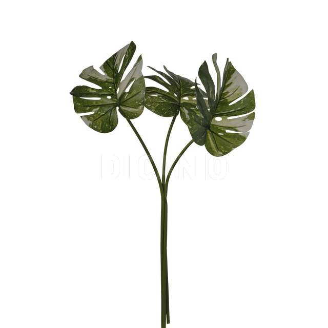 Bundle monstera x 3 cm.40x60 green-yellon - Principale