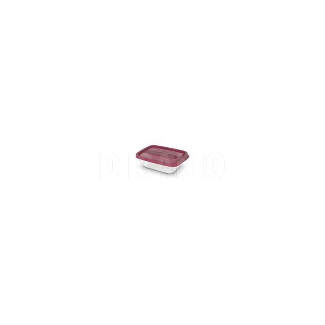 Contenitore box vedo 5pz lt.0.50 abm - Principale