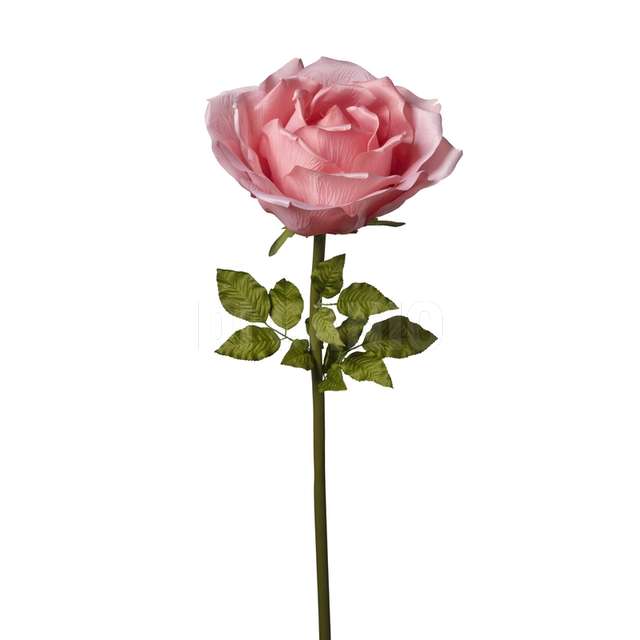 Ramo rosa cm.136 pink - Principale