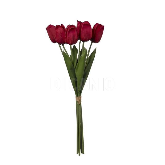 Mazzo tulipano x 6 cm.45 red balck - Principale