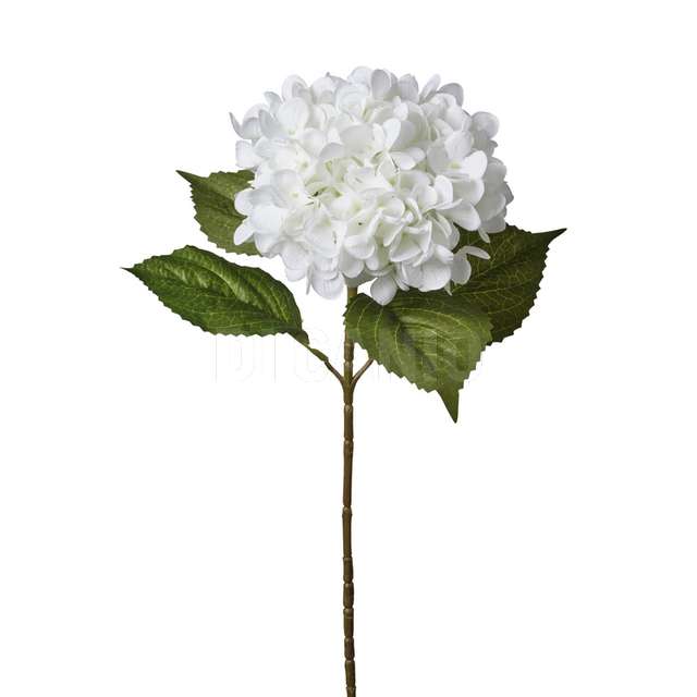 Ramo ortensia cm.65 white. - Principale