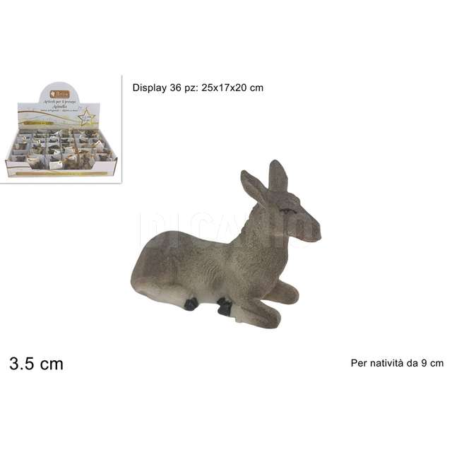 Asinello per 9 cm. - Principale
