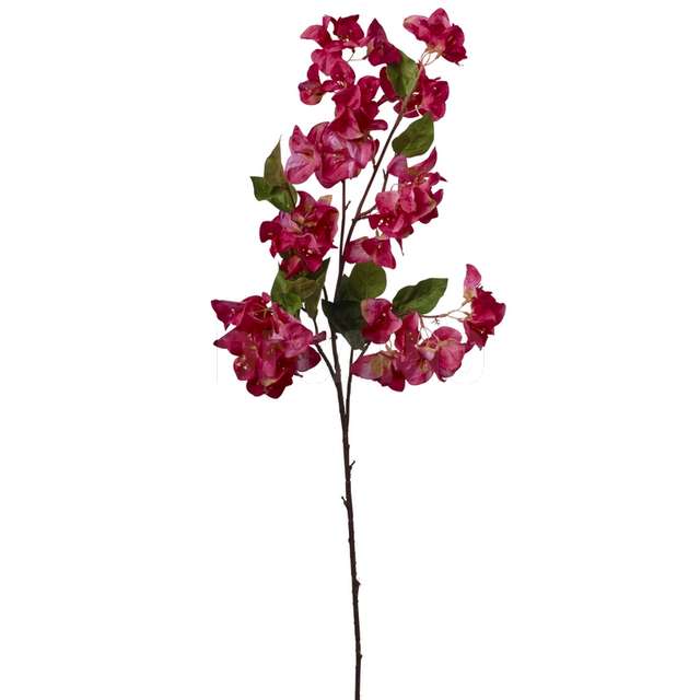Ramo bouganvillea cm 105 - Principale