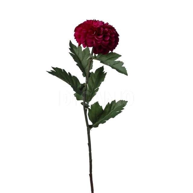 Ramo zinnia cm.73 red - Principale