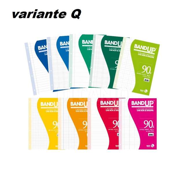 Ricambi maxi band-up fg.40 gr.100 q bm - Principale