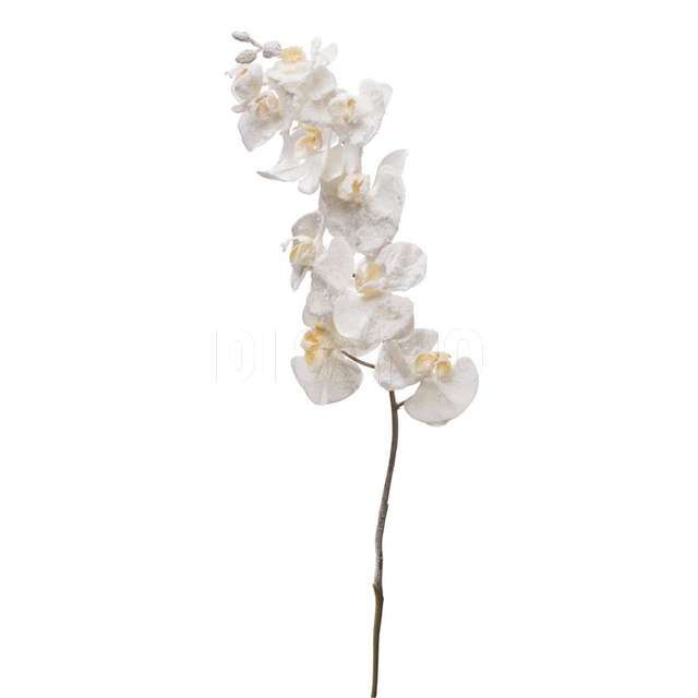 Orchidea innevata 10 fiori bianca natalizia cm120 - Principale