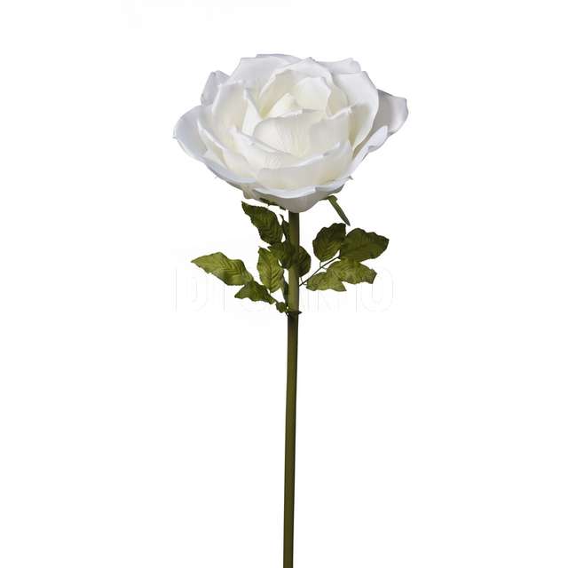 Ramo rosa cm.136 cream - Principale