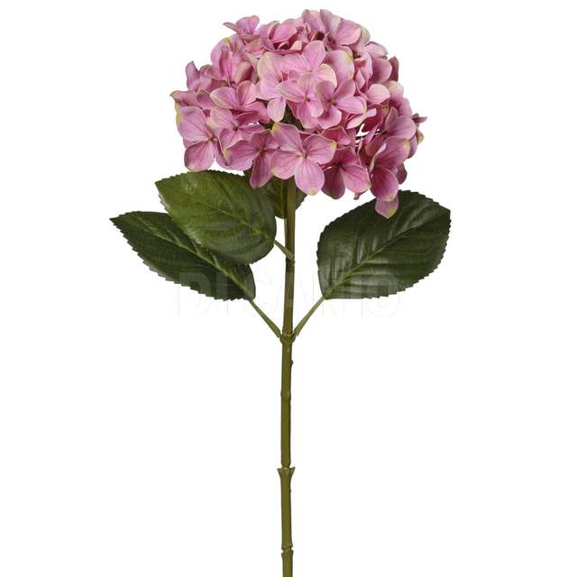 Ramo ortensia cm 61/d.22 cm - Principale