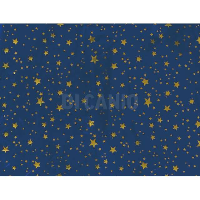 Carta cielo plastificata cm.70x100 c/stelle oro in espositore - Principale