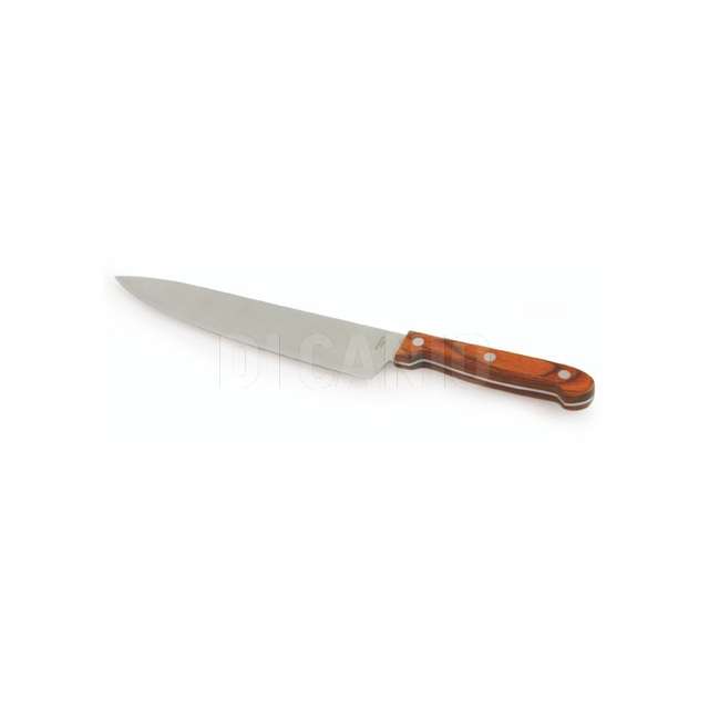 Coltello da cucina galileo.2165268 - Principale