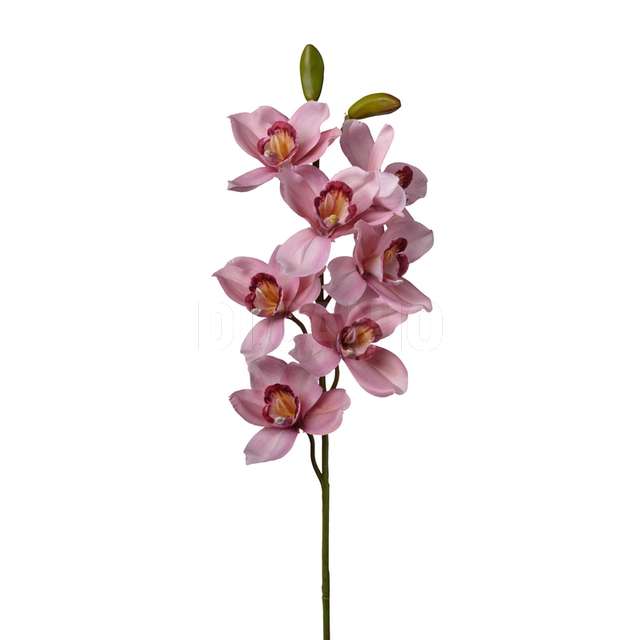 Ramo cymbidium cm.74 pink - Principale