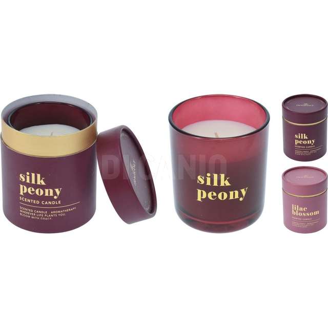 Vaso vetro c/candela 10cm 2ass - Principale