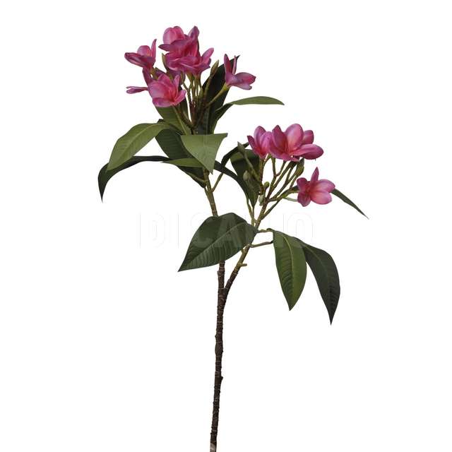 Ramo plumeria cm.88 crise - Principale