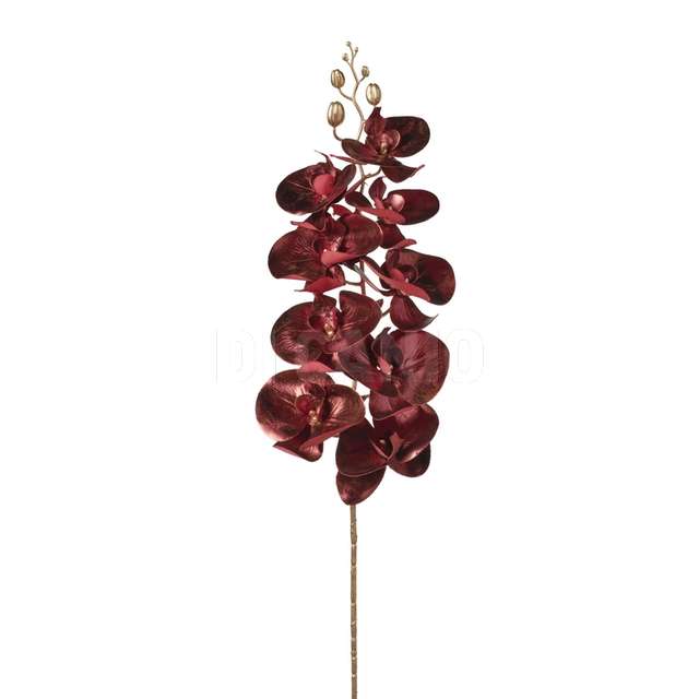Ramo orchidea cm97 burgundy - Principale