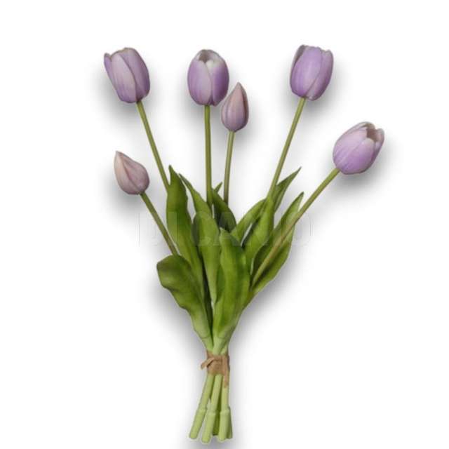 Mazzo tulipano x 6 cm,15x15x39 viola - Principale
