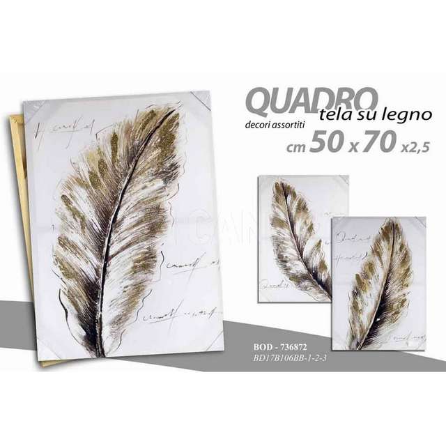 Quadro piuma 50x70x2,5cm bd17b106bb-1_2_3 gicos - Principale
