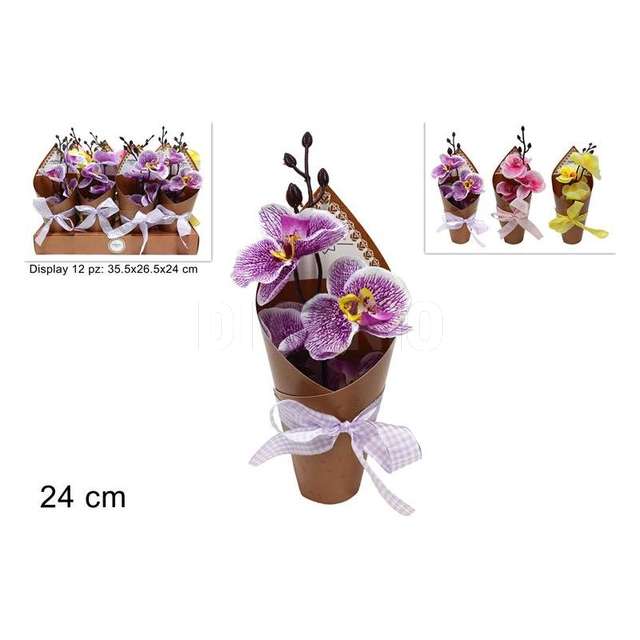 Piantina orchidea con cartoncino e fiocco - Principale