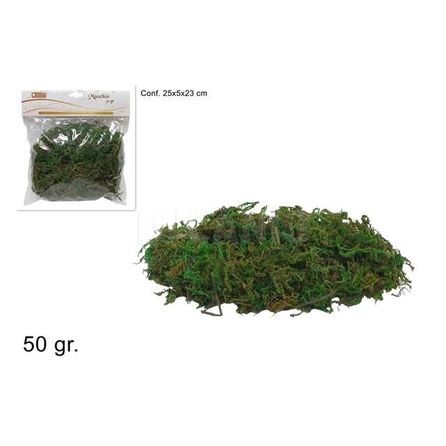 Muschio busta 50grammi verde - Principale
